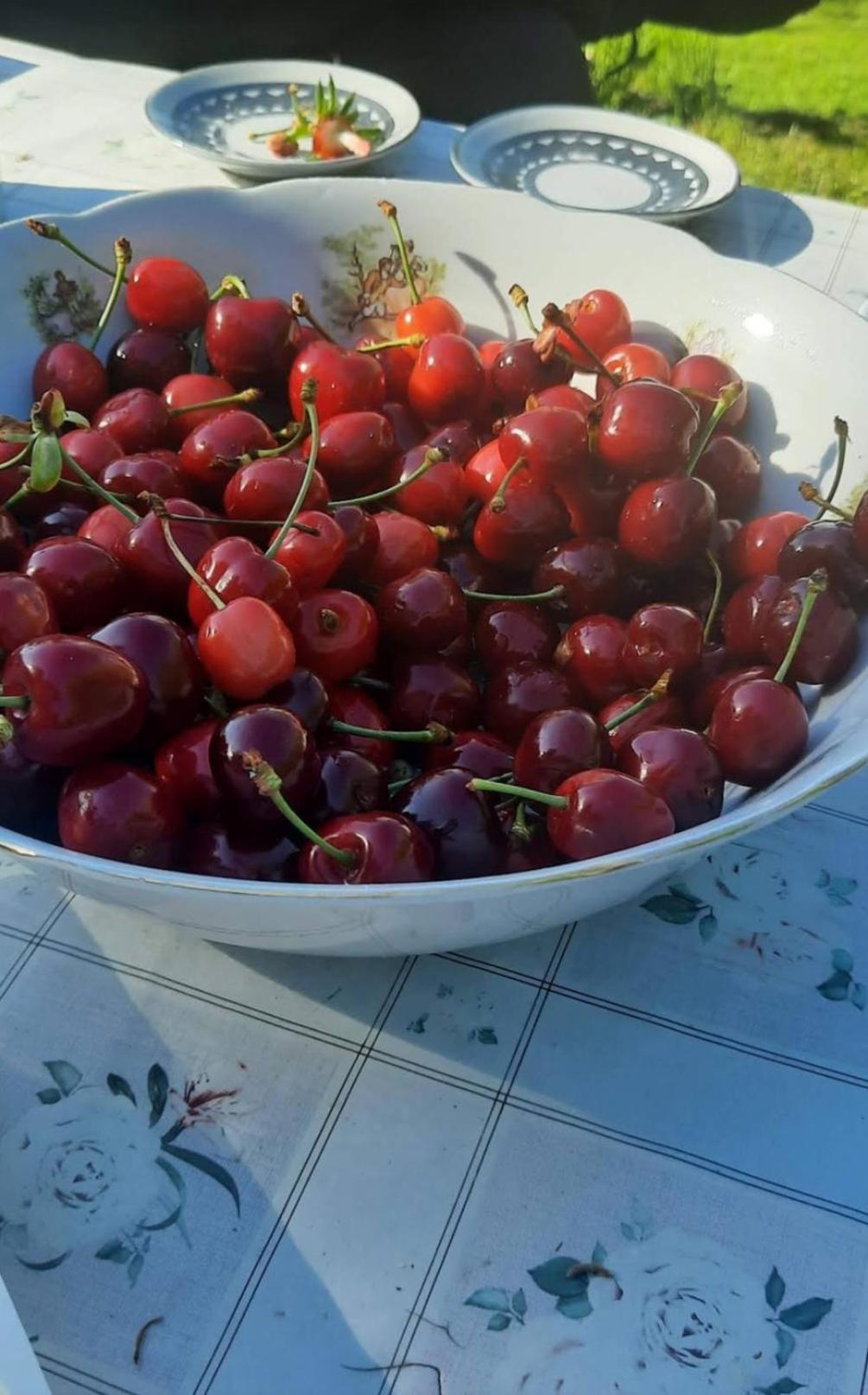 비소코 Mala Farma Nani 빌라 외부 사진